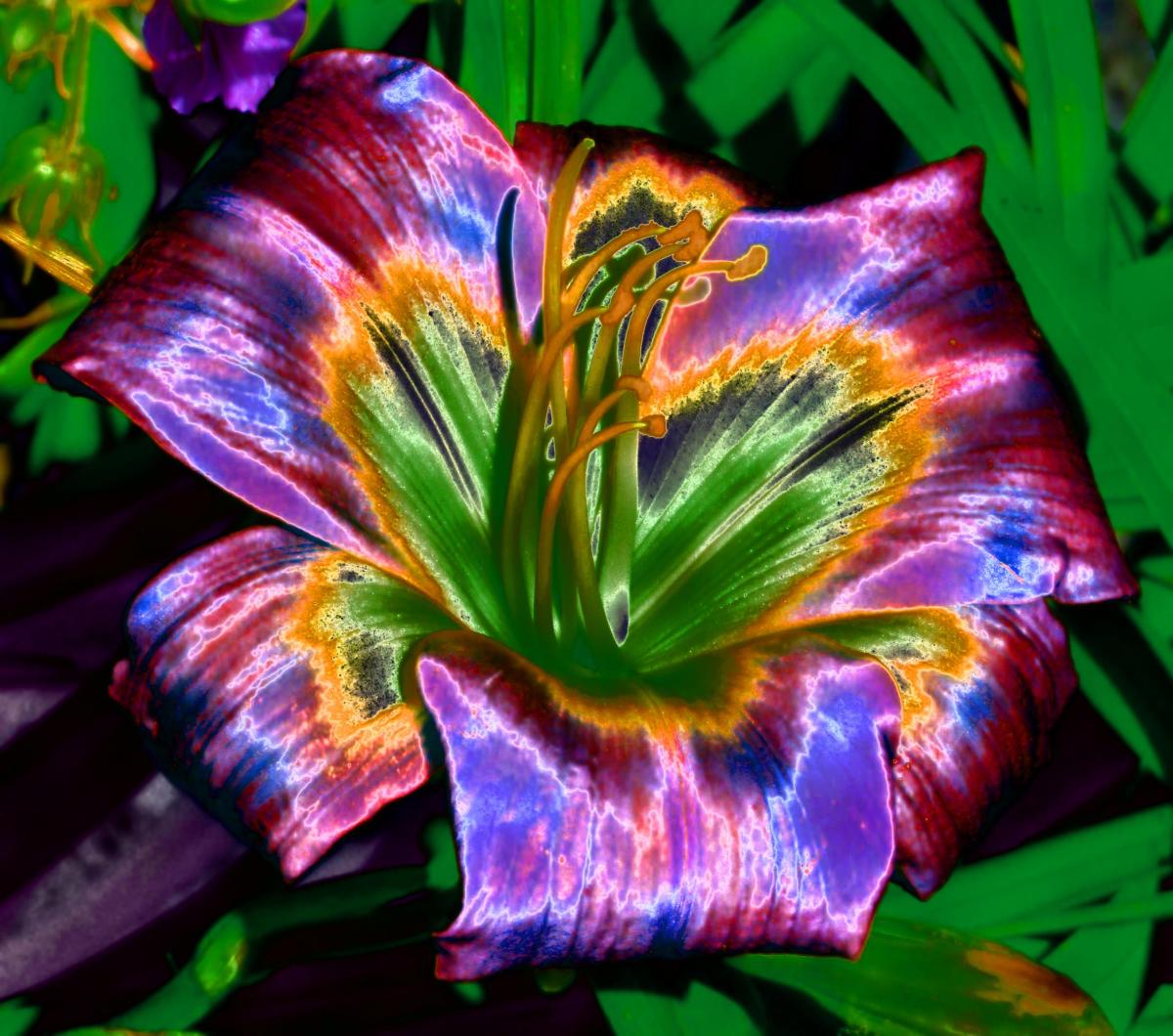 God is Female,&nbsp;Too